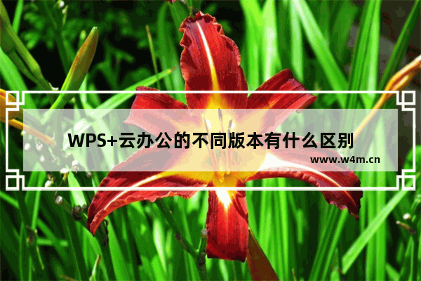 WPS+云办公的不同版本有什么区别