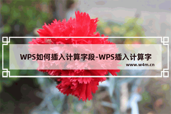 WPS如何插入计算字段-WPS插入计算字段的方法