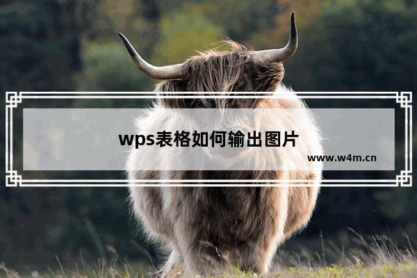 wps表格如何输出图片