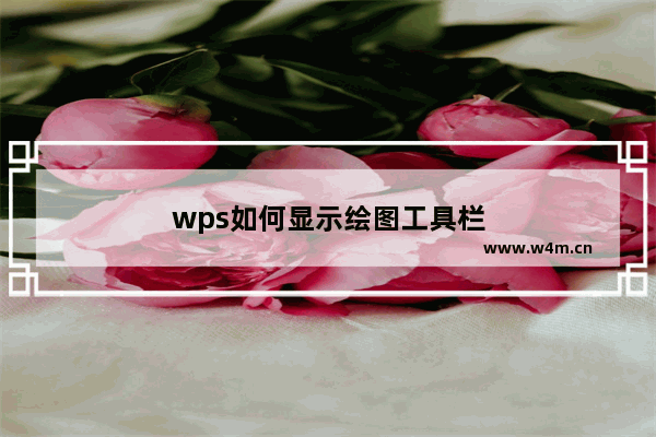 wps如何显示绘图工具栏