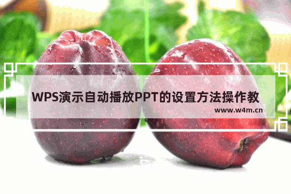 WPS演示自动播放PPT的设置方法操作教学