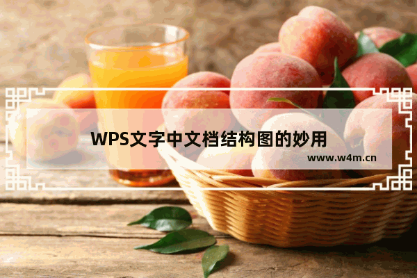 WPS文字中文档结构图的妙用