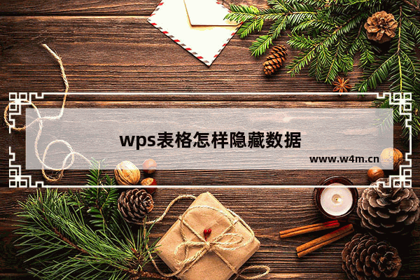 wps表格怎样隐藏数据