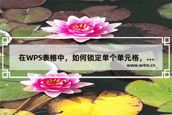 在WPS表格中，如何锁定单个单元格，使其不被随意编辑？