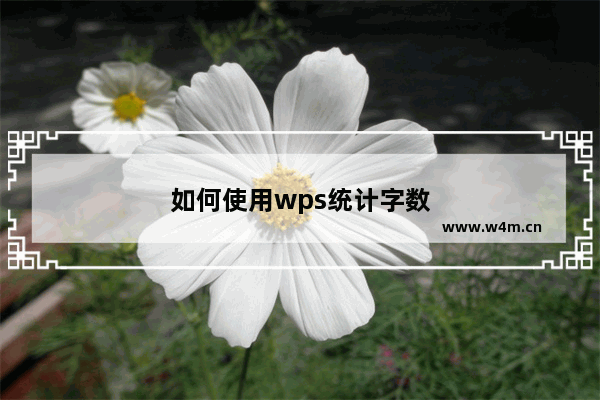 如何使用wps统计字数