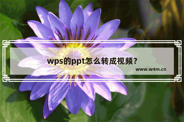 wps的ppt怎么转成视频？