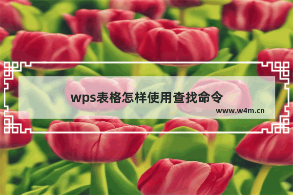 wps表格怎样使用查找命令