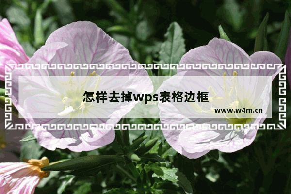 怎样去掉wps表格边框