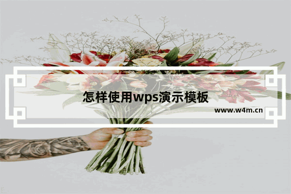 怎样使用wps演示模板