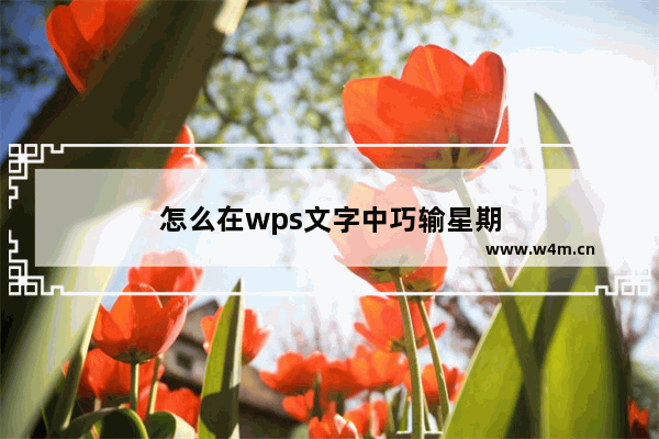 怎么在wps文字中巧输星期