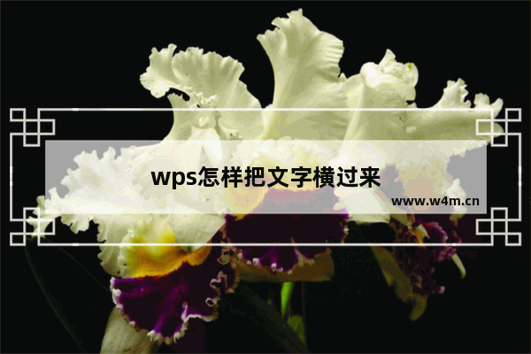 wps怎样把文字横过来