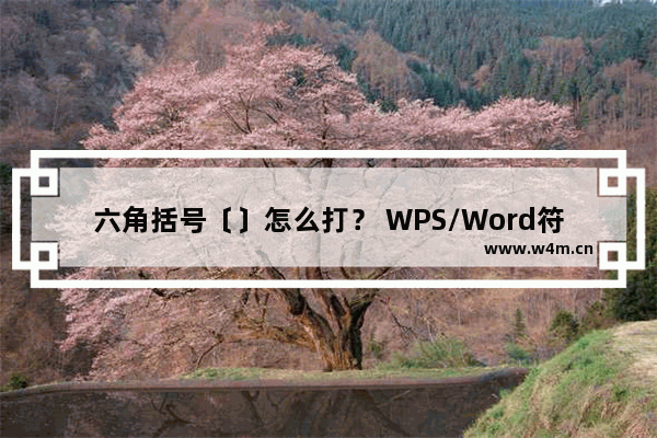 六角括号〔〕怎么打？ WPS/Word符号打六角括号