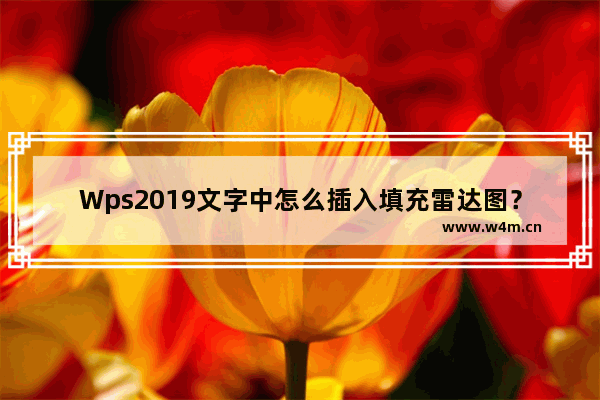 Wps2019文字中怎么插入填充雷达图？