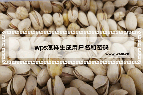 wps怎样生成用户名和密码