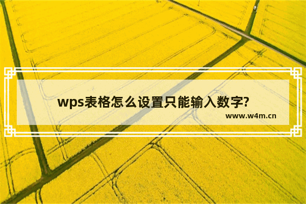 wps表格怎么设置只能输入数字?