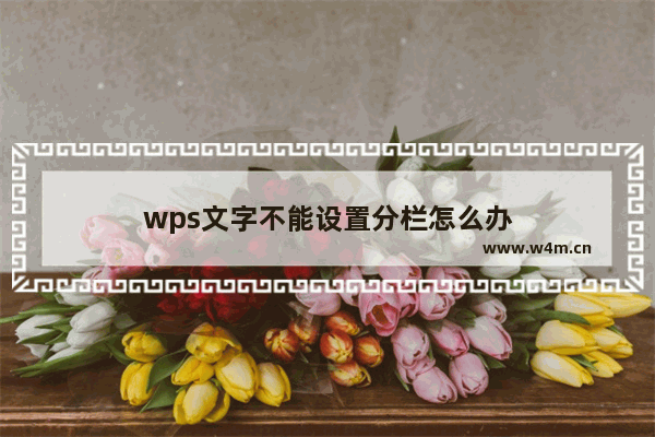 wps文字不能设置分栏怎么办