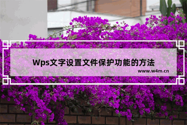 Wps文字设置文件保护功能的方法