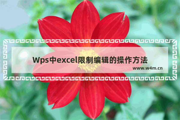 Wps中excel限制编辑的操作方法