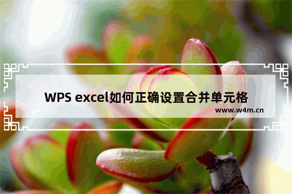 WPS excel如何正确设置合并单元格