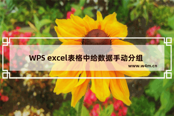 WPS excel表格中给数据手动分组 实现技巧