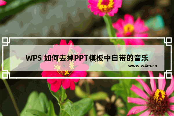 WPS 如何去掉PPT模板中自带的音乐