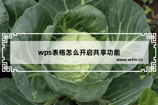 wps表格怎么开启共享功能