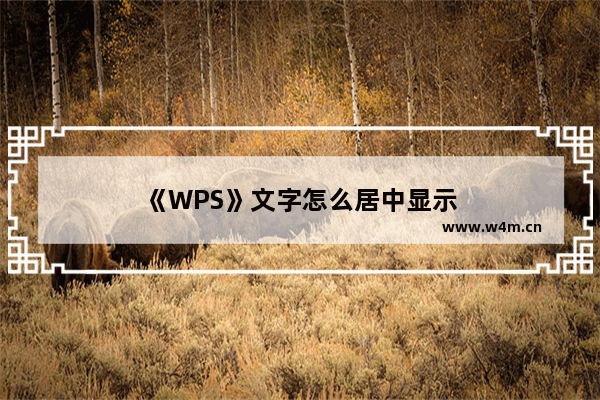 《WPS》文字怎么居中显示