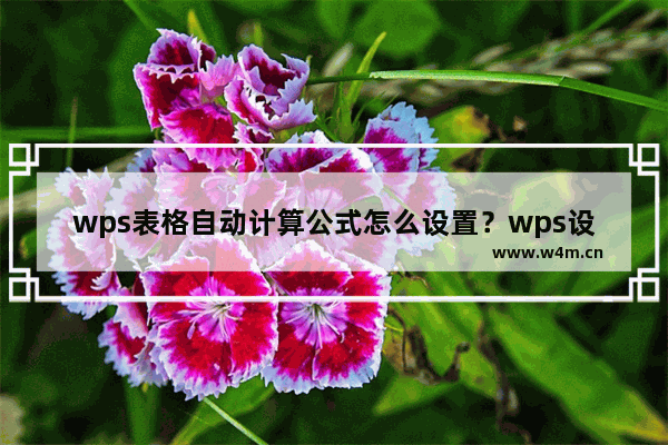 wps表格自动计算公式怎么设置？wps设置公式自动计算公式