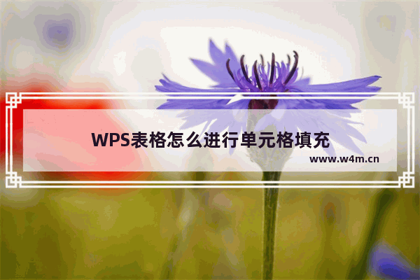 WPS表格怎么进行单元格填充