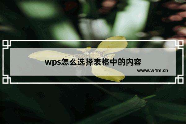 wps怎么选择表格中的内容