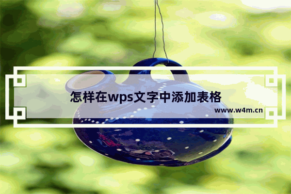 怎样在wps文字中添加表格