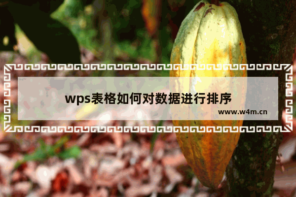 wps表格如何对数据进行排序