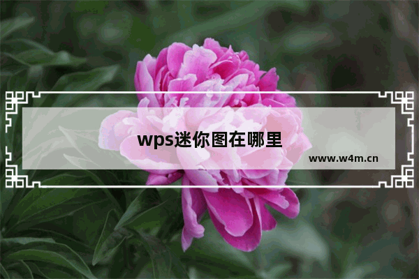 wps迷你图在哪里