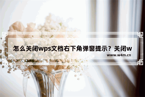 怎么关闭wps文档右下角弹窗提示？关闭wps文档右下角弹窗提示的方法技巧