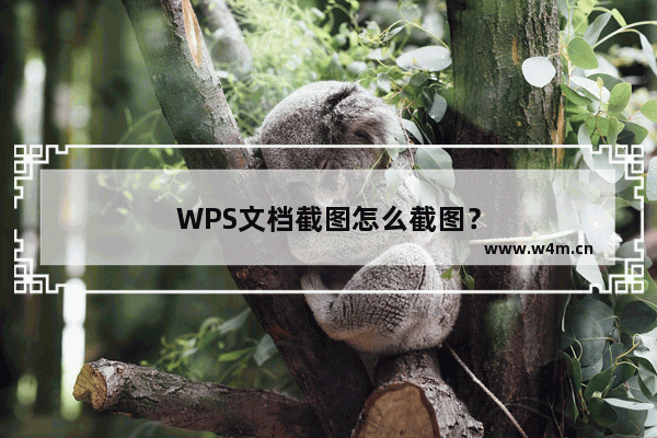 WPS文档截图怎么截图？