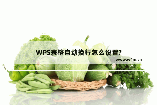 WPS表格自动换行怎么设置?