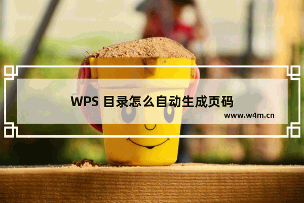 WPS 目录怎么自动生成页码