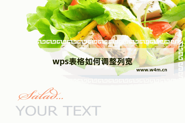 wps表格如何调整列宽