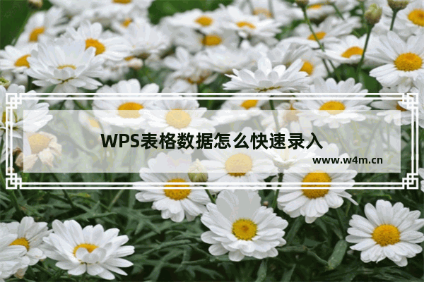 WPS表格数据怎么快速录入