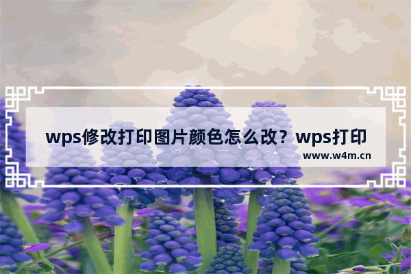 wps修改打印图片颜色怎么改？wps打印颜色深浅设置方法