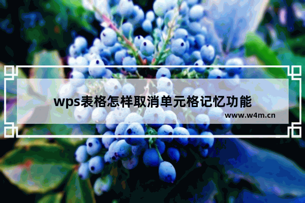 wps表格怎样取消单元格记忆功能