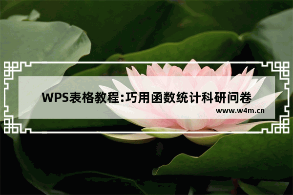 WPS表格教程:巧用函数统计科研问卷