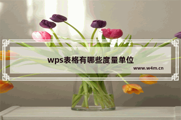 wps表格有哪些度量单位