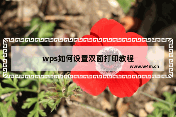 wps如何设置双面打印教程