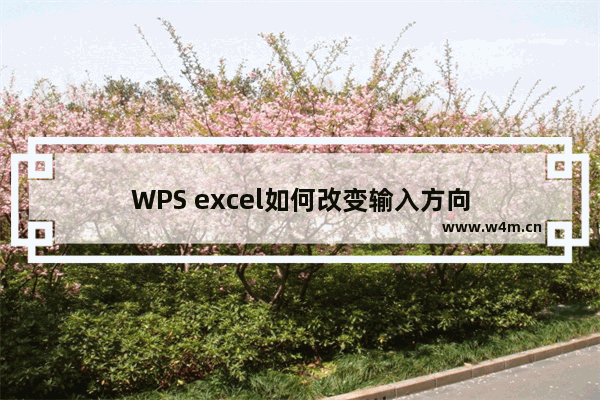 WPS excel如何改变输入方向