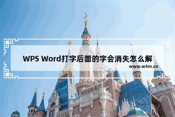 WPS Word打字后面的字会消失怎么解决