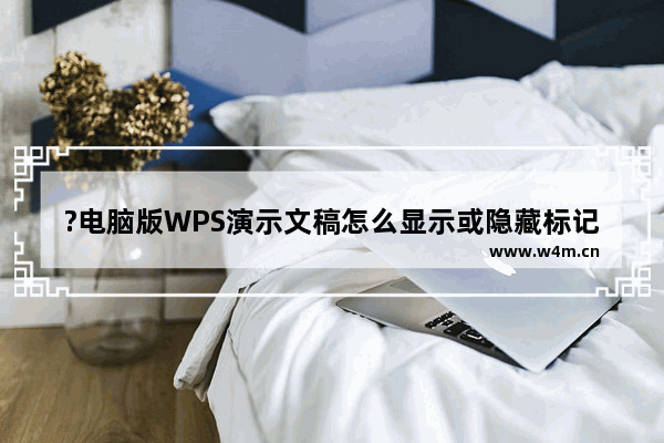 ?电脑版WPS演示文稿怎么显示或隐藏标记