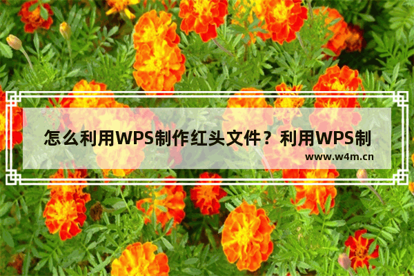 怎么利用WPS制作红头文件？利用WPS制作红头文件的具体操作方法