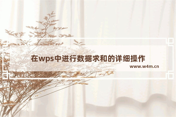 在wps中进行数据求和的详细操作