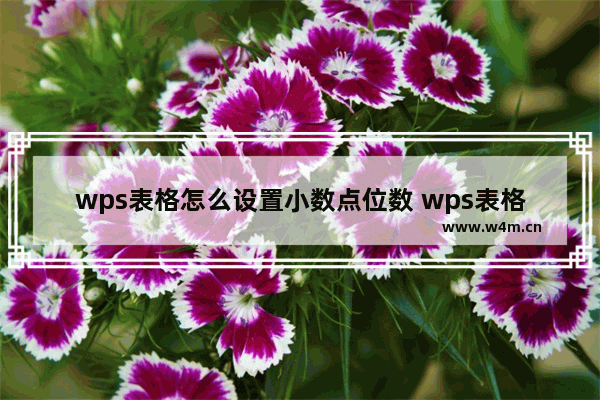 wps表格怎么设置小数点位数 wps表格设置小数点位数的两个方法